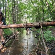 young person walking over a fallen tree
