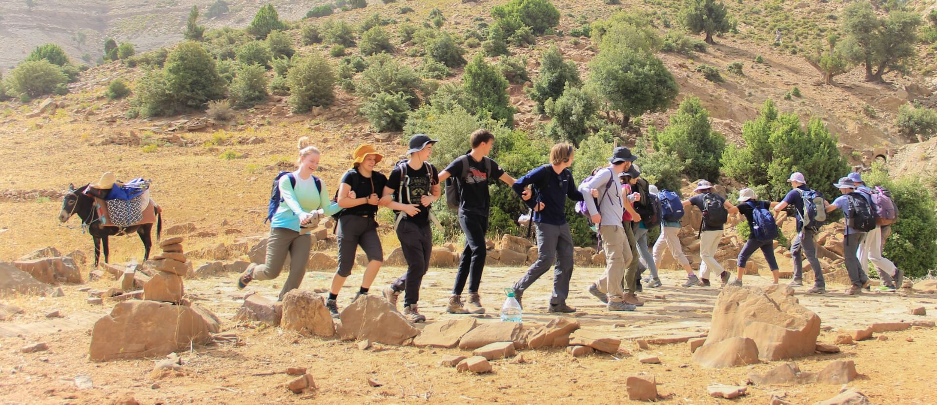 morocco-students-dancing-donkey-haileysavage
