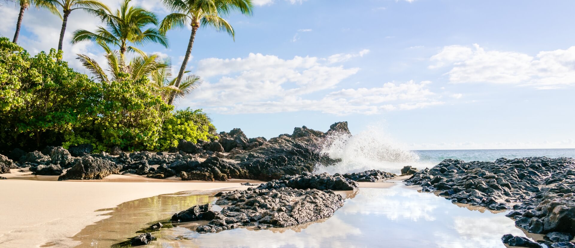 rocky-shore-hawaii