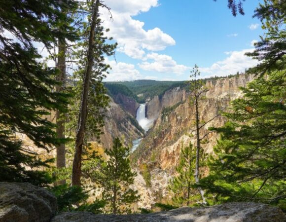 2025-Putney-yellowstone_14