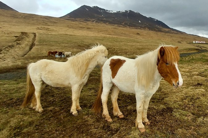 iceland_blog-1