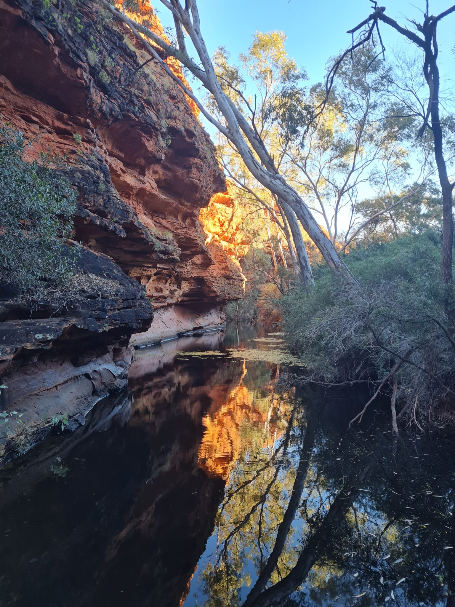 Sunset, trees, and red rocks are reflected in natural pool of water