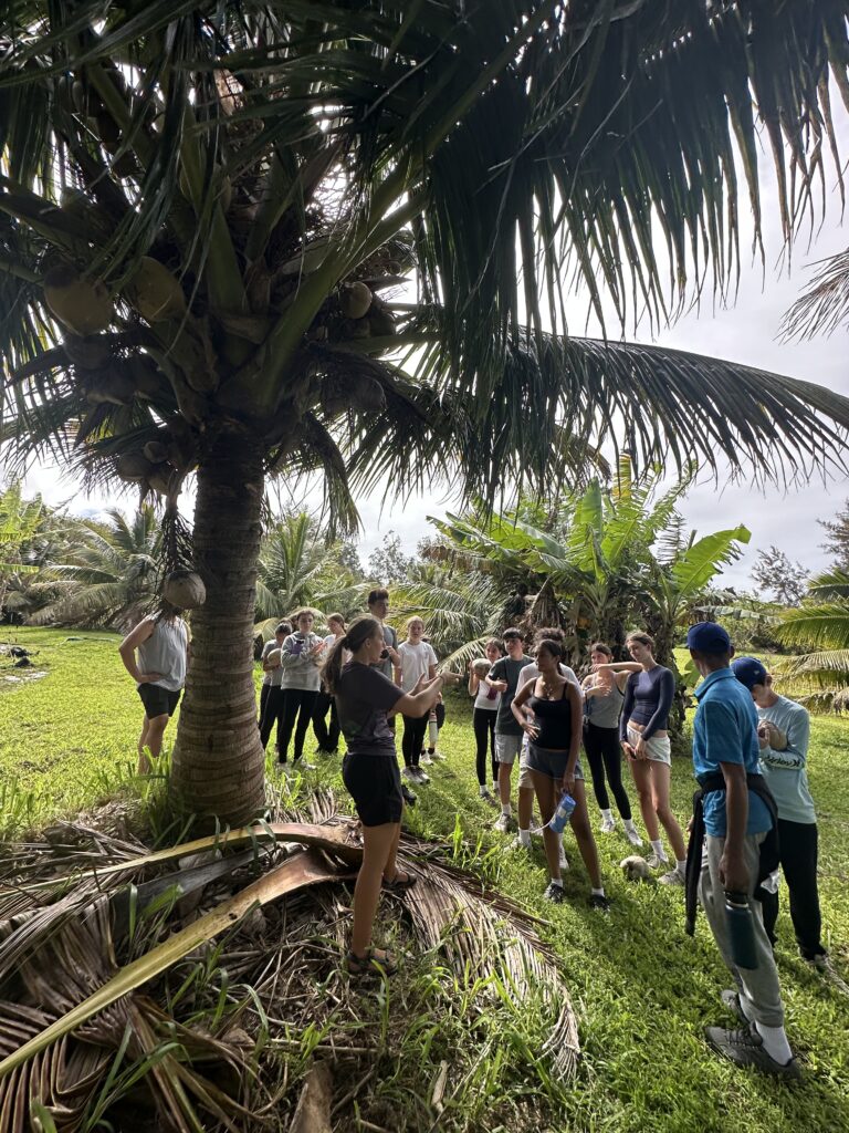 Lecturer stands under tree giving pointers to student gathered around in a semi-circle