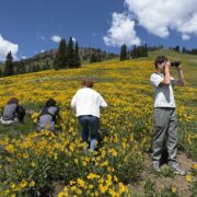 Students stand in a lush field of yellow flowers taking photographs with cameras