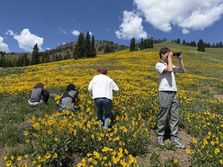 Students stand in a lush field of yellow flowers taking photographs with cameras