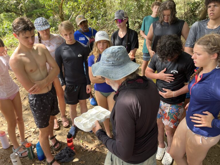 Leader looks in tray to see what species have been collected as student gathered around and look on