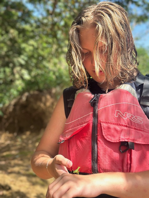 Student in red life jacket looks at a praying mantis perching on their hand