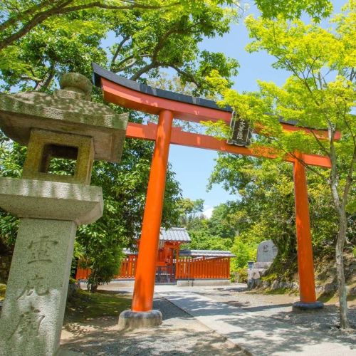 oxford-academia-japan