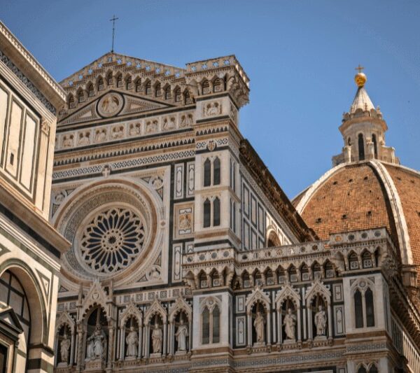 oxford-academia-siena_1