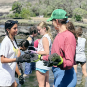 Students service project moving rocks in Hawai'i