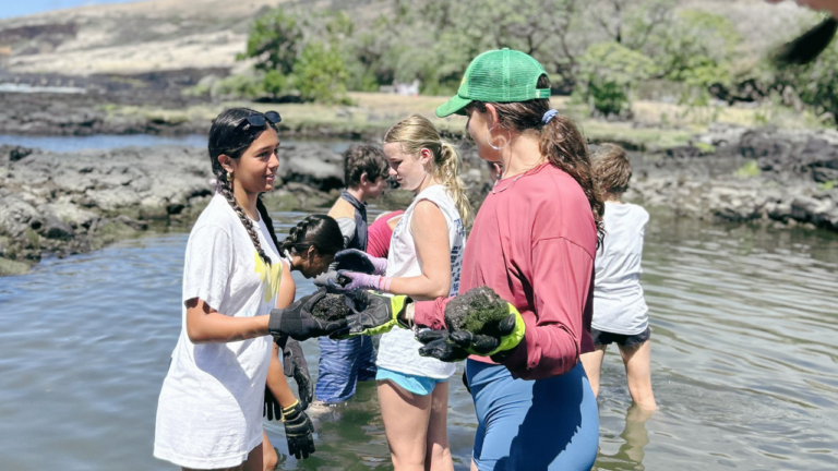 Students service project moving rocks in Hawai'i