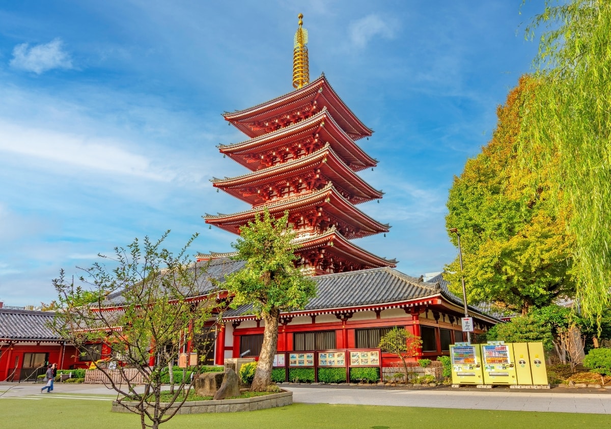 Tokyo Pre-College